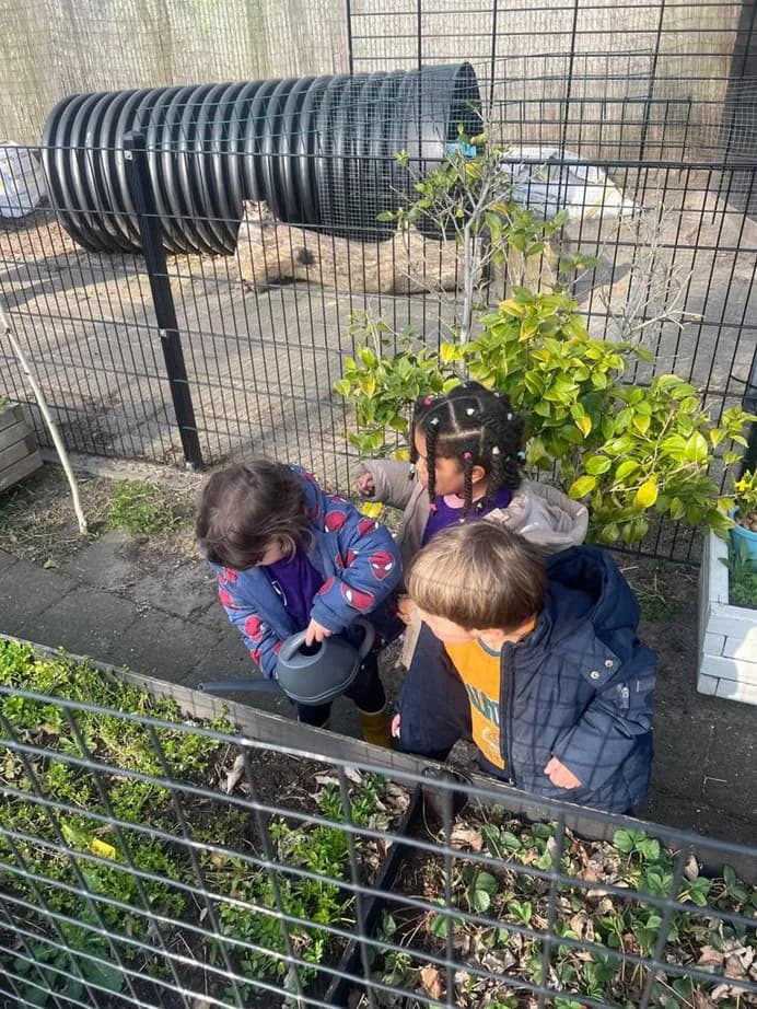 Students watering the vegetable garden beside the animal enclosure at TISA Leiden