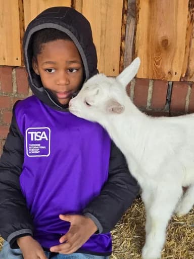 A young student in a purple TISA vest nuzzled by a baby goat at the school farm